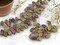 *40* 12x8mm Blended Red + Sage Green Travertine Top Drilled Leaf Beads